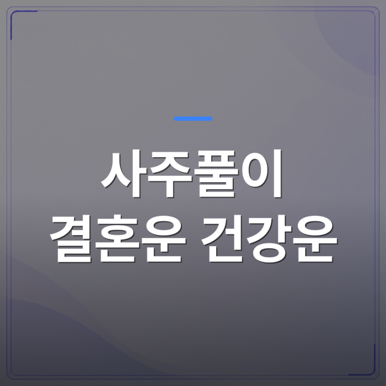 사주풀이 결혼운 건강운 - 결혼운 건강운 사주풀이로 지금 내 흐름을 읽는 방법 | 팔자랩