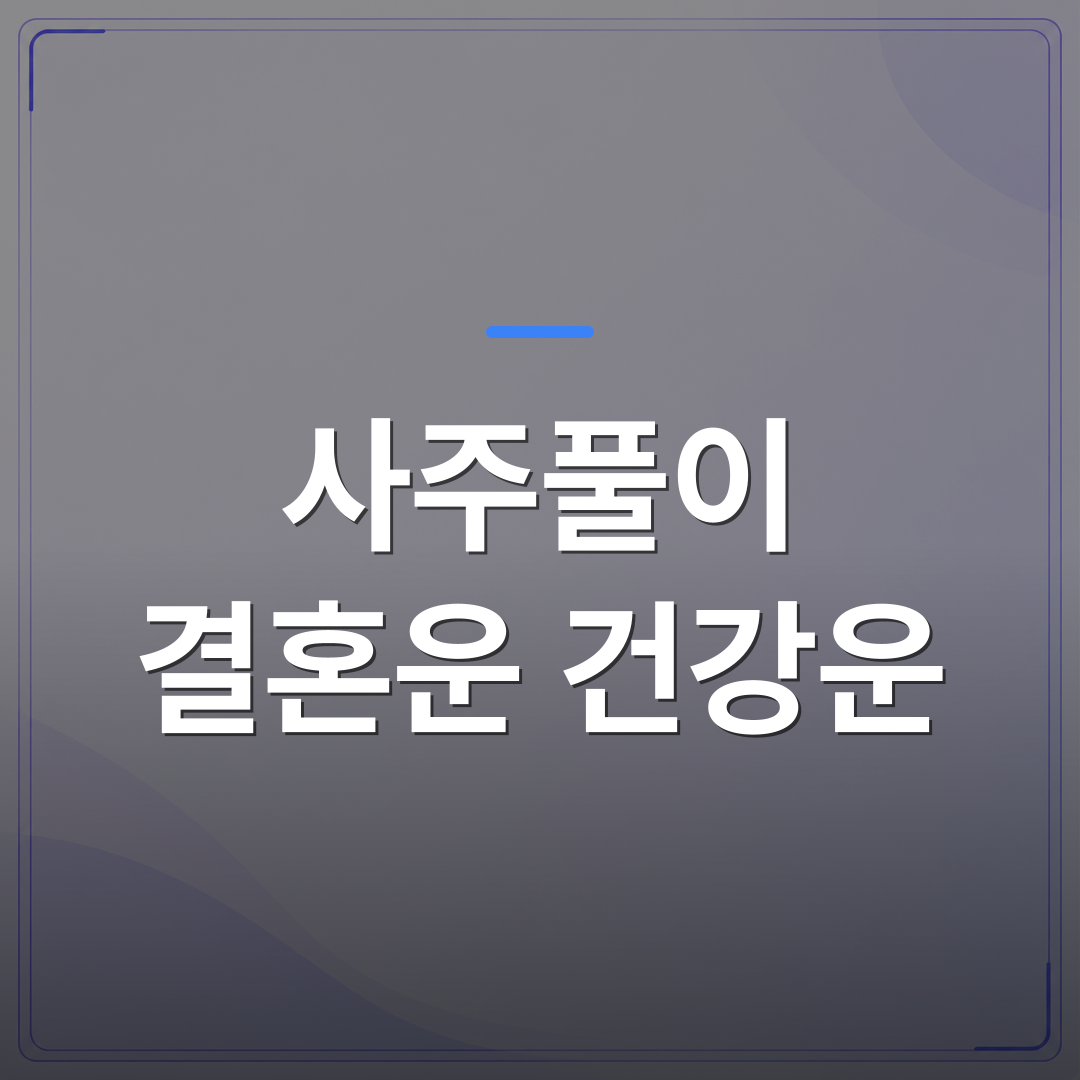 사주풀이 결혼운 건강운 - 결혼운 건강운 사주풀이로 지금 내 흐름을 읽는 방법 | 팔자랩