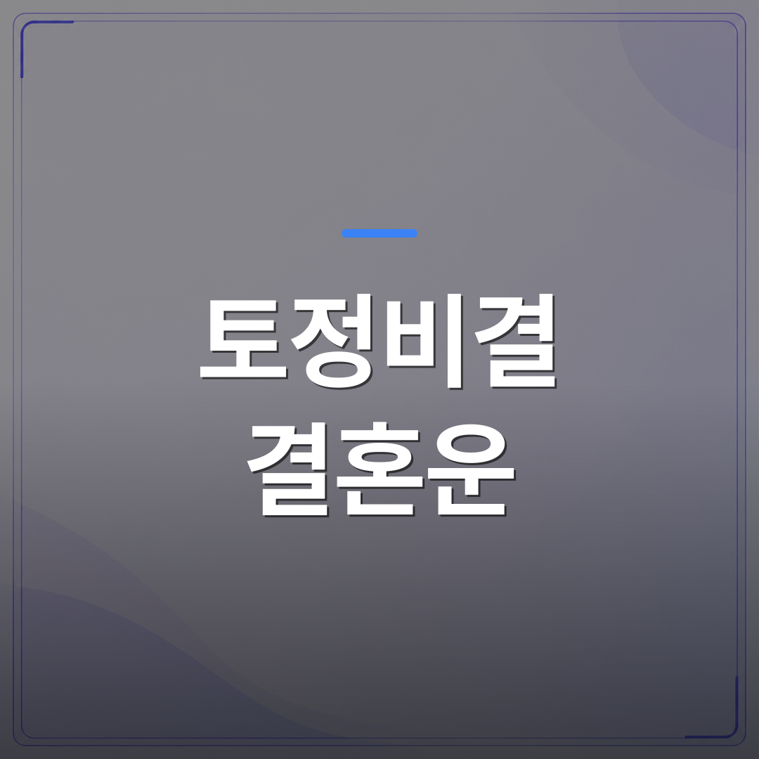 토정비결 결혼운 - 토정비결 결혼운 시기를 보는 법과 실제로 참고할 수 있는 기준 | 팔자랩